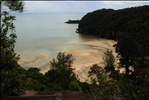 Kuching Trip - Bako National Park